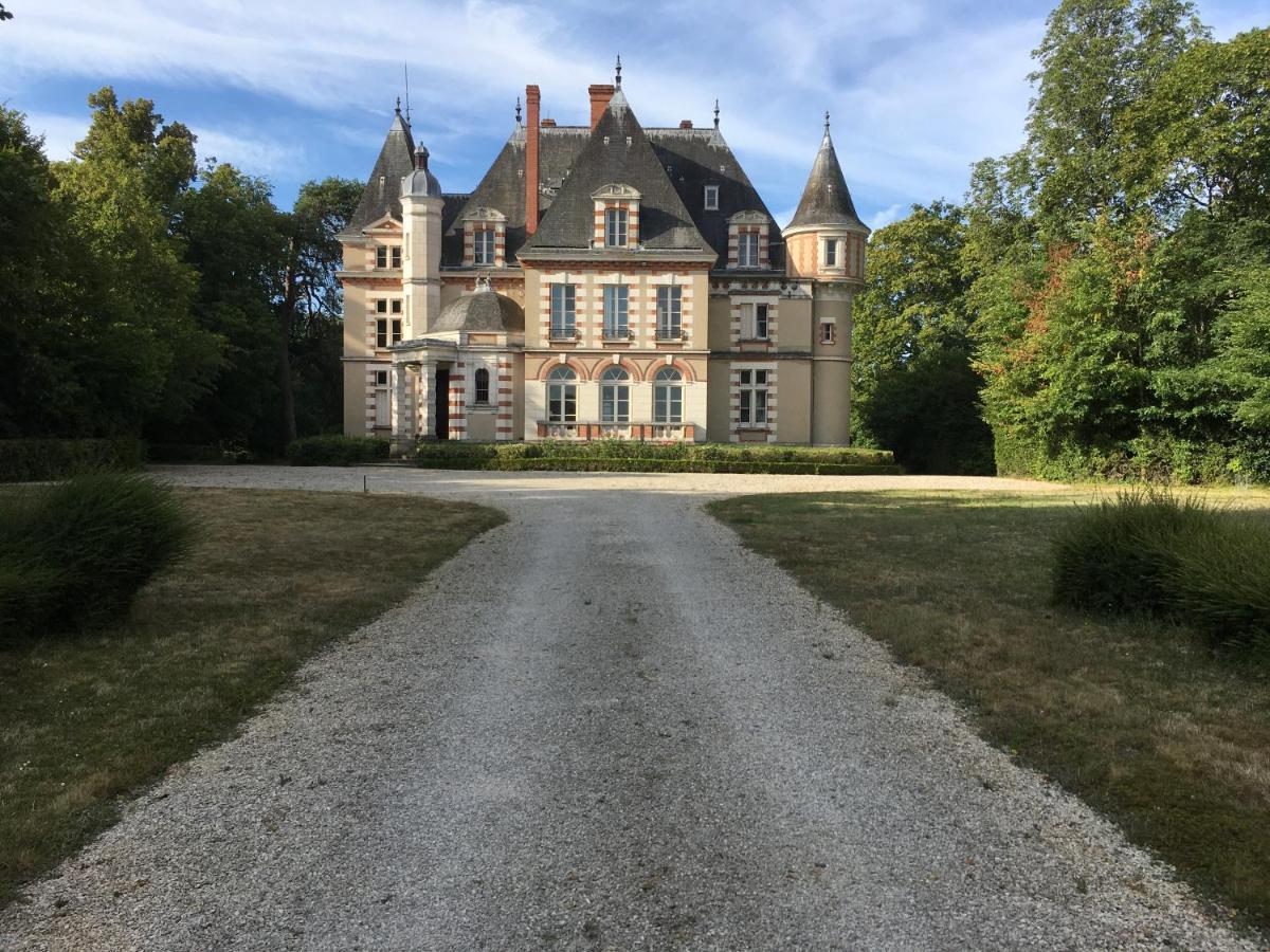 Chateau De Praslins Nogent-sur-Vernisson Bagian luar foto