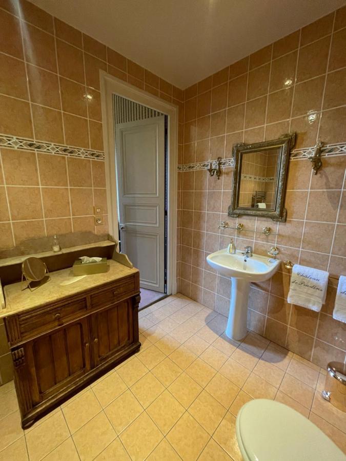 Chateau De Praslins Nogent-sur-Vernisson Bagian luar foto