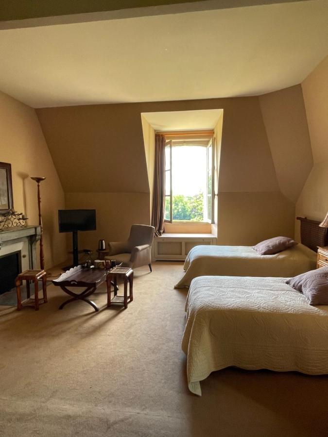 Chateau De Praslins Nogent-sur-Vernisson Bagian luar foto